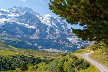 Similar image 21313431