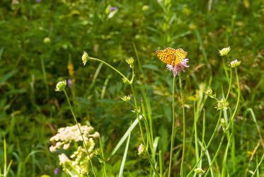 Similar image 21313516