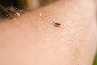 Similar image 21313603