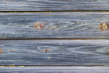 Similar image 21313605