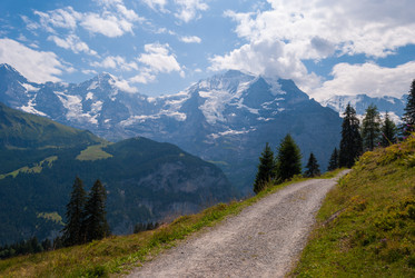 Similar image 21313432