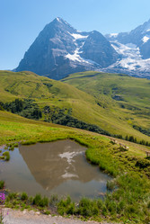 Similar image 21313518