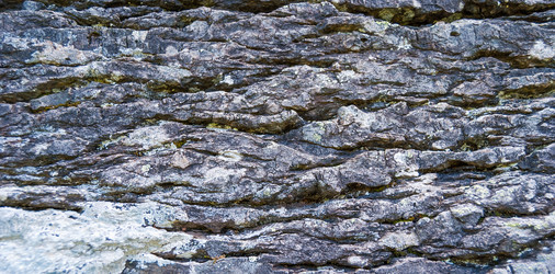 Similar image 21313519