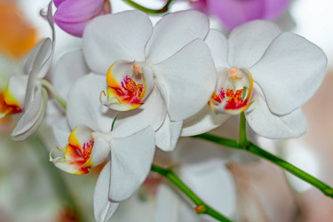 Similar image 21295324