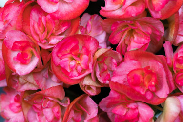 Similar image 21309048