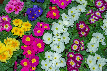 Similar image 21313453