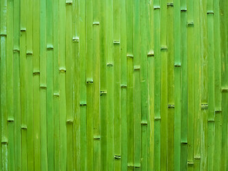 Similar image 21313525