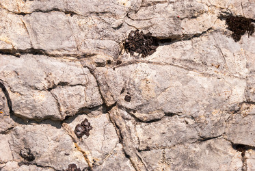 Similar image 21295326