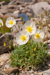 Similar image 21309051