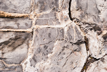 Similar image 21313408