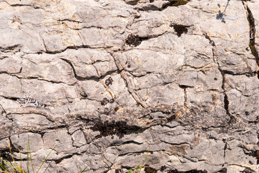 Similar image 21313435