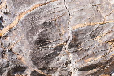 Similar image 21313455