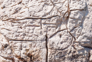 Similar image 21313528