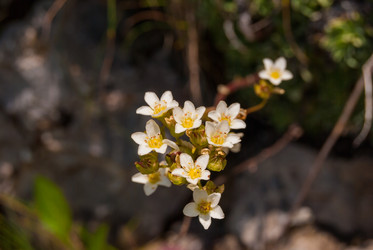 Similar image 21313529