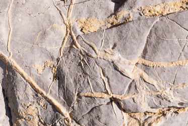 Similar image 21313530