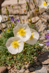 Similar image 21313531