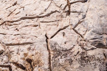 Similar image 21313619