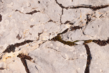 Similar image 21313622