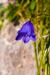 Similar image 21313623