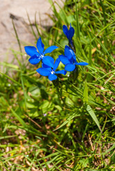 Similar image 21309052