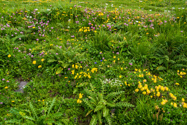 Similar image 21313532