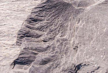 Similar image 21313533