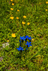 Similar image 21313534