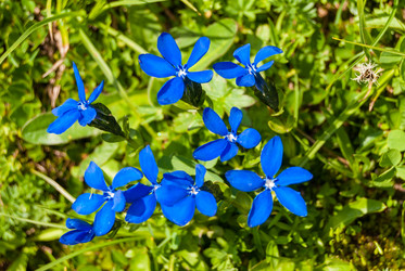 Similar image 21313626