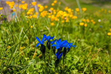 Similar image 21313628