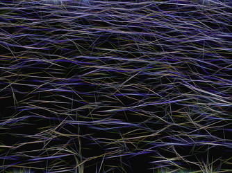 Similar image 21313410