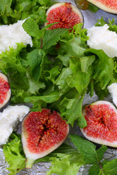 Similar image 21340055