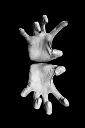 Similar image 21309251