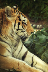 Similar image 21321751