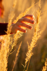 Similar image 21321770