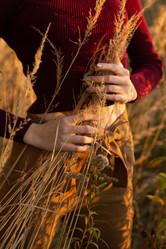 Similar image 21331186