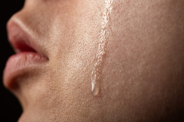 Similar image 21330896