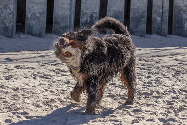 Similar image 21294288