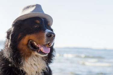 Similar image 21298828