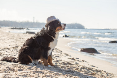 Similar image 21307635