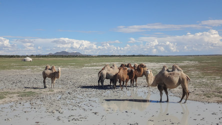 Similar image 21307640