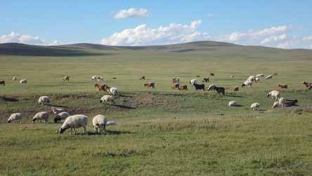 Similar image 21321832