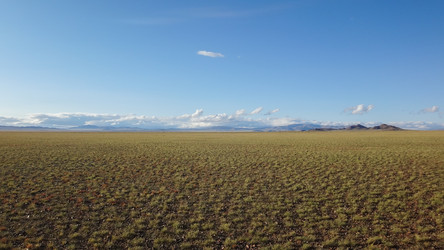 Similar image 21321844