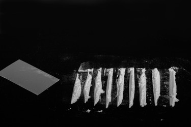 Similar image 21307763