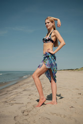 Similar image 21307837