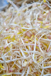 Similar image 21331127