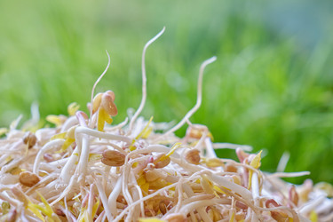 Similar image 21331318