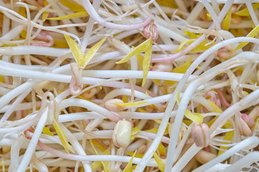 Similar image 21331319