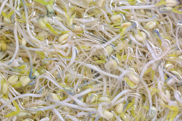 Similar image 21331534