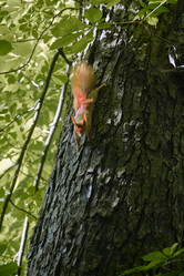 Similar image 21341769