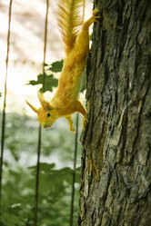 Similar image 21341770